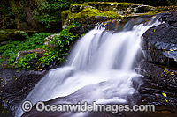 Lamington National Park Waterfall Photo - Gary Bell