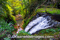 Picnic Rock Falls Lamington Photo - Gary Bell