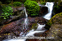Lamington National Park Waterfall Photo - Gary Bell