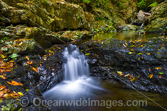 Urumbilum River Coffs Harbour photo