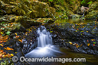 Urumbilum River Coffs Harbour Photo - Gary Bell
