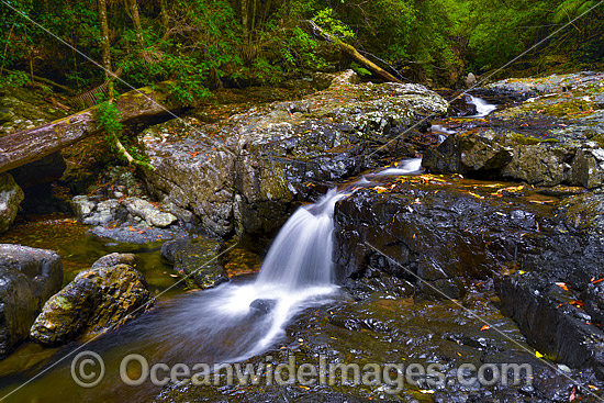 Urumbilum Waterfall photo Urumbilum Waterfall photo