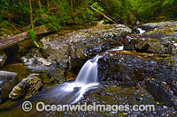 Urumbilum Waterfall Photo - Gary Bell
