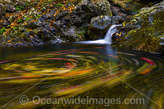 Urumbilum River Coffs Harbour photo Urumbilum River Coffs Harbour photo