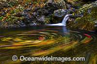 Urumbilum River Coffs Harbour Photo - Gary Bell