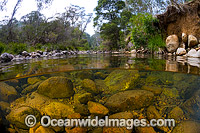 Styx River New England Photo - Gary Bell