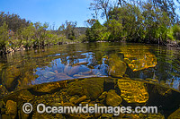 Styx River New England Photo - Gary Bell