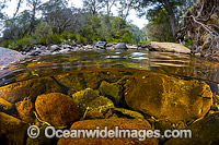 Styx River New England Photo - Gary Bell