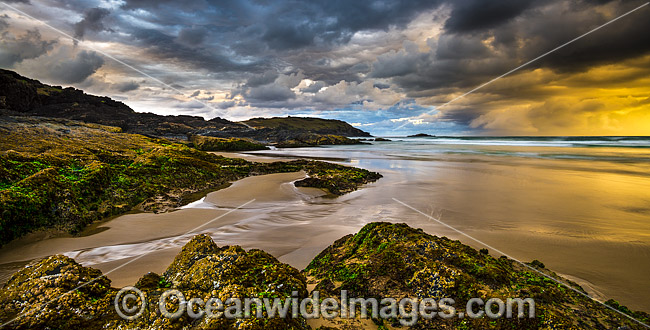 Gallows Beach Coffs Harbour photo Gallows Beach Coffs Harbour photo