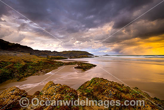 Gallows Beach Coffs Harbour photo Gallows Beach Coffs Harbour photo