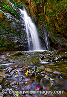 Callicoma Falls Dorrigo National Park Photo - Gary Bell