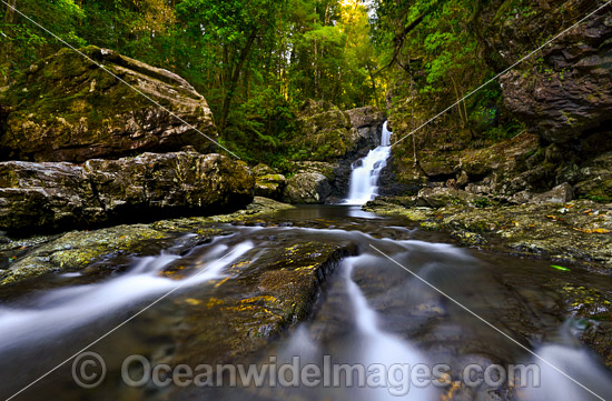 Coachwood Falls Dorrigo National Park photo Coachwood Falls Dorrigo National Park photo