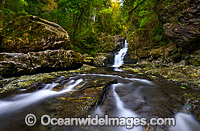 Coachwood Falls Dorrigo National Park Photo - Gary Bell