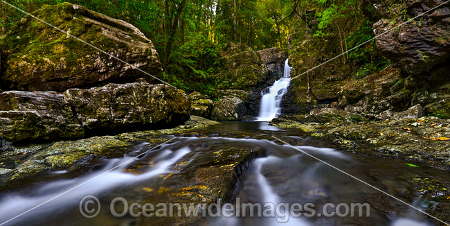 Coachwood Falls Dorrigo National Park photo
