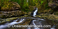 Coachwood Falls Dorrigo National Park Photo - Gary Bell