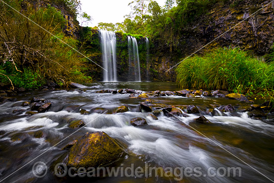 Dangar Falls Dorrigo photo Dangar Falls Dorrigo photo