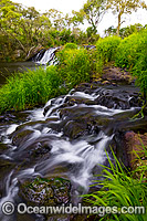 Upper Dangar Falls Dorrigo Photo - Gary Bell