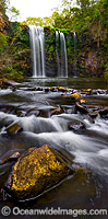 Dangar Falls Dorrigo Photo - Gary Bell