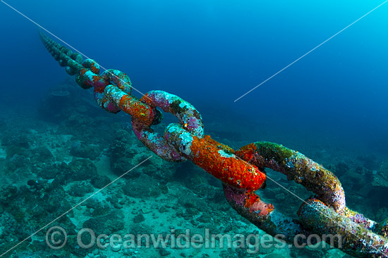 Mooring chain Christmas Island photo Mooring chain Christmas Island photo