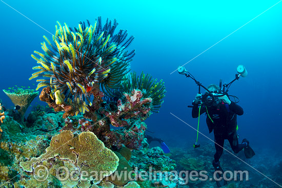 Scuba Diver Christmas Island photo Scuba Diver Christmas Island photo