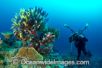 Scuba Diver Christmas Island Photo - Gary Bell