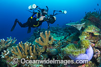 Coral Reef Christmas Island Photo - Gary Bell