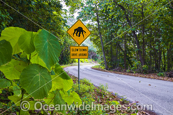 Crab warning sign Christmas Island photo Crab warning sign Christmas Island photo