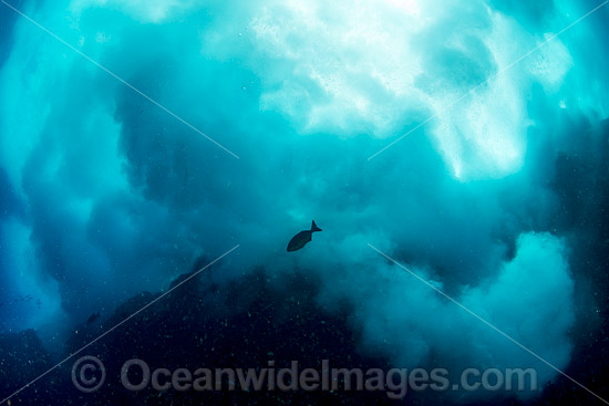 Crashing Wave Solitary Islands photo