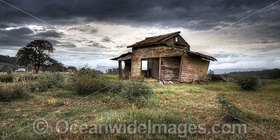 Country Cottage Bellingen photo