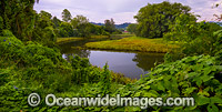 Bellinger River Photo - Gary Bell