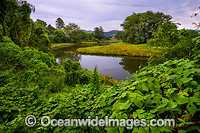 Bellinger River Photo - Gary Bell