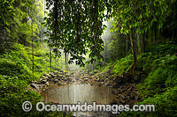 Crystal Shower Falls Photo - Gary Bell