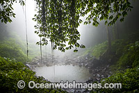Crystal Shower Falls Photo - Gary Bell