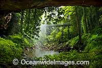 Crystal Shower Falls Photo - Gary Bell