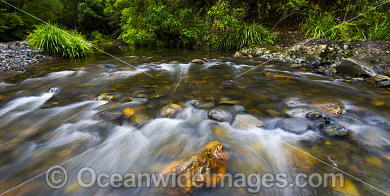 Urumbilum River Bindarri National Park photo Urumbilum River Bindarri National Park photo