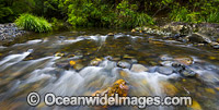Urumbilum River Bindarri National Park Photo - Gary Bell