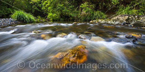 Urumbilum River Bindarri National Park photo Urumbilum River Bindarri National Park photo