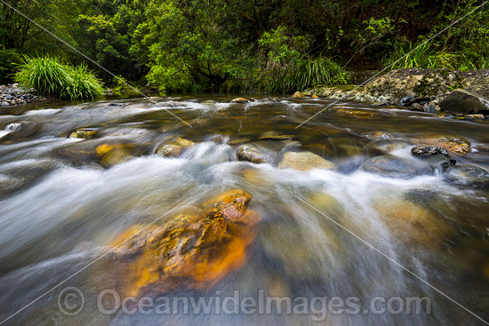 Urumbilum River Bindarri National Park photo Urumbilum River Bindarri National Park photo