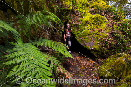 New England National Park photo New England National Park photo