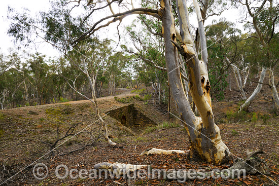Road Culvert made by convicts photo Road Culvert made by convicts photo