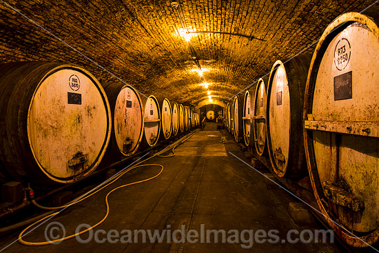 Wine Barrels at Winery photo Wine Barrels at Winery photo