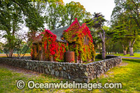 Gostwyck Chapel Photo - Gary Bell