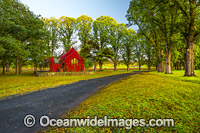 Gostwyck Chapel Autumn leaves Photo - Gary Bell