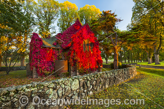 Gostwyck Chapel photo Gostwyck Chapel photo
