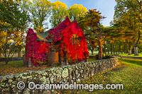 Gostwyck Chapel Photo - Gary Bell