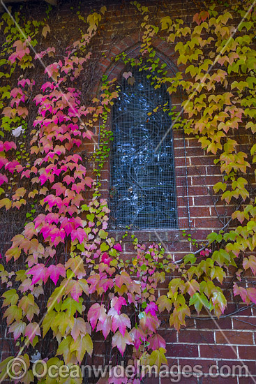 Gostwyck Chapel photo Gostwyck Chapel photo