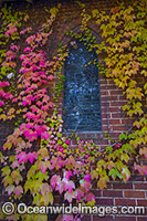 Gostwyck Chapel Photo - Gary Bell