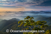 Point Lookout New England Photo - Gary Bell