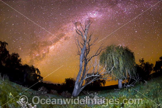 Stars of the night sky photo Stars of the night sky photo