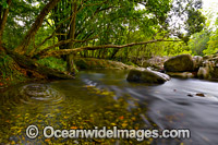 Promised Land River Photo - Gary Bell